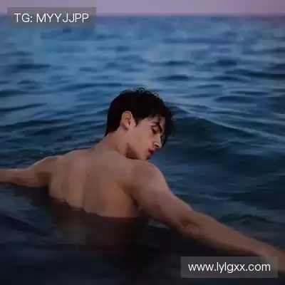 董治鹤